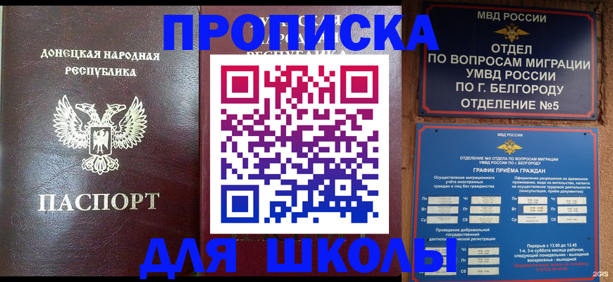прописка для работы в Чудово